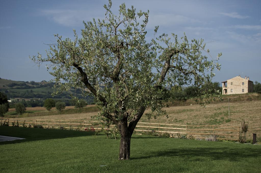 Moresco Agriturismo Luaran gambar