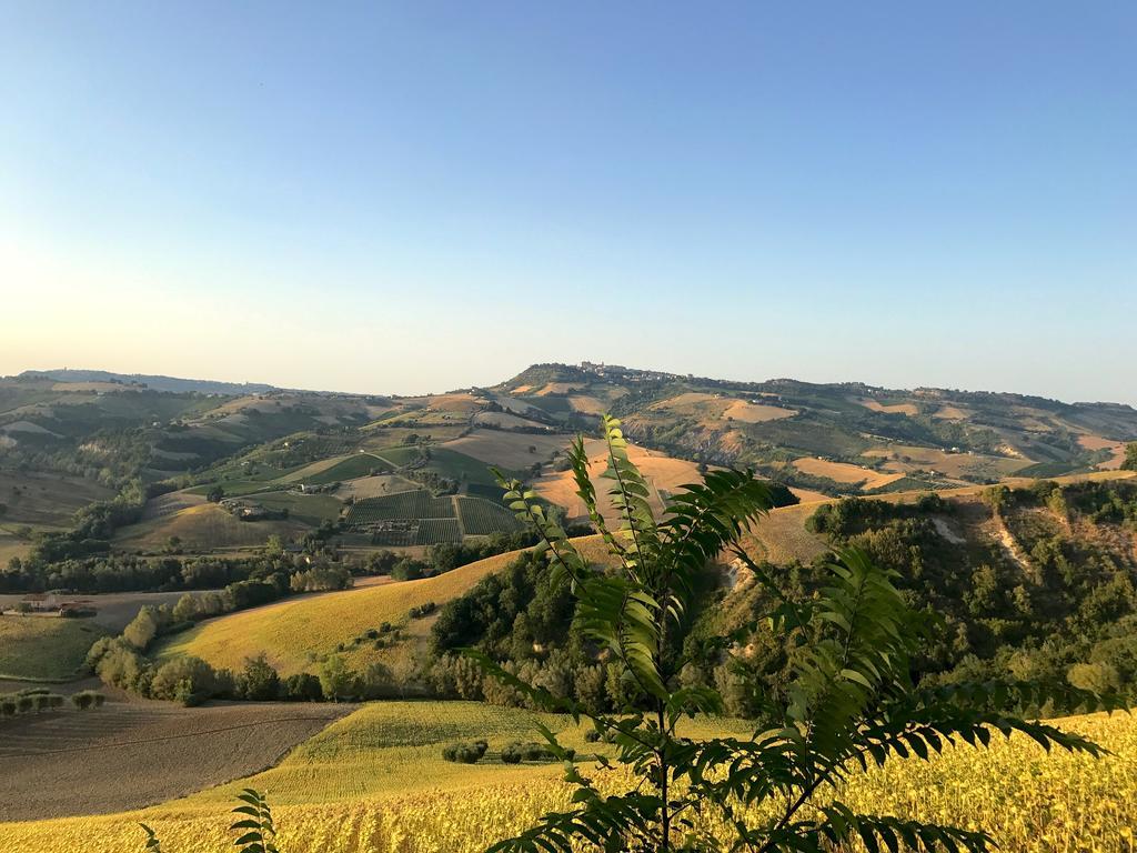 Moresco Agriturismo Luaran gambar